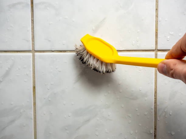 Professional Mold Remediation in Columbus, NM