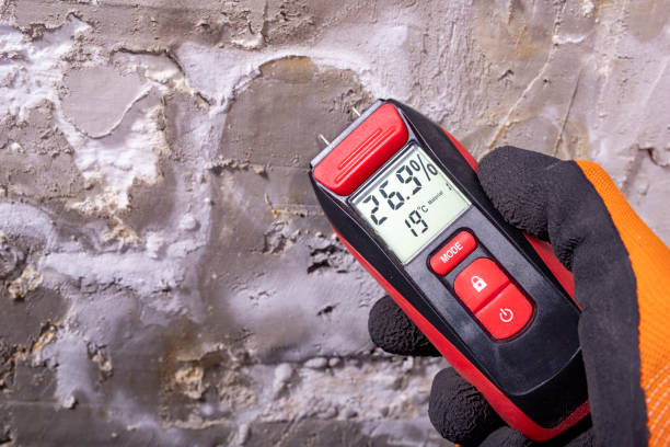 Best Localized Mold Remediation (e.g., coastal areas, humid climates) in Columbus, NM
