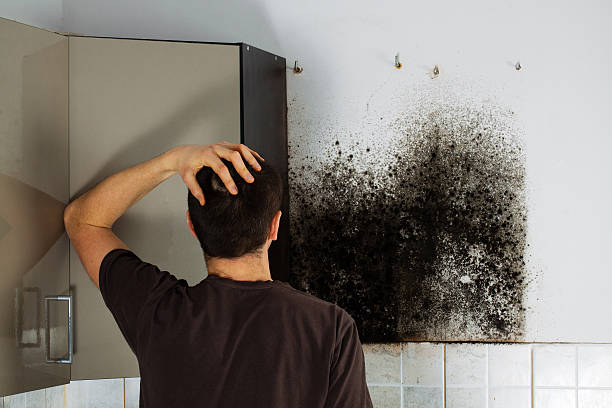 Columbus, NM Mold Remediation Company